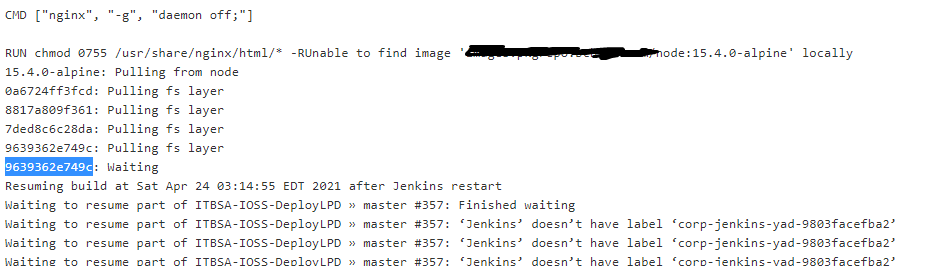 From Jenkins Console