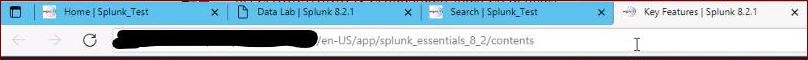 Splunk_Browser.JPG