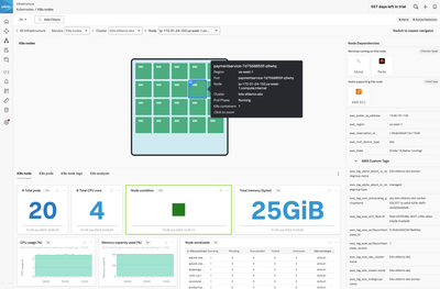 Kubernetes navigator node details