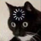 catdadof3