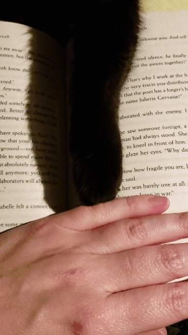 midnite_paw.gif