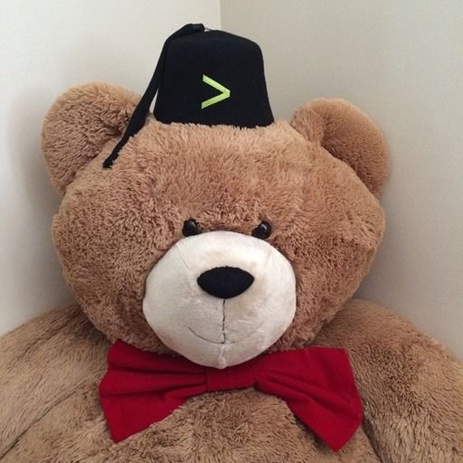 teddybfez.jpeg